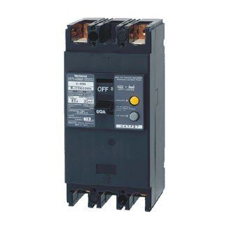 ELB 2P 60A 30mA 10KA 240VAC BKW2603SKY